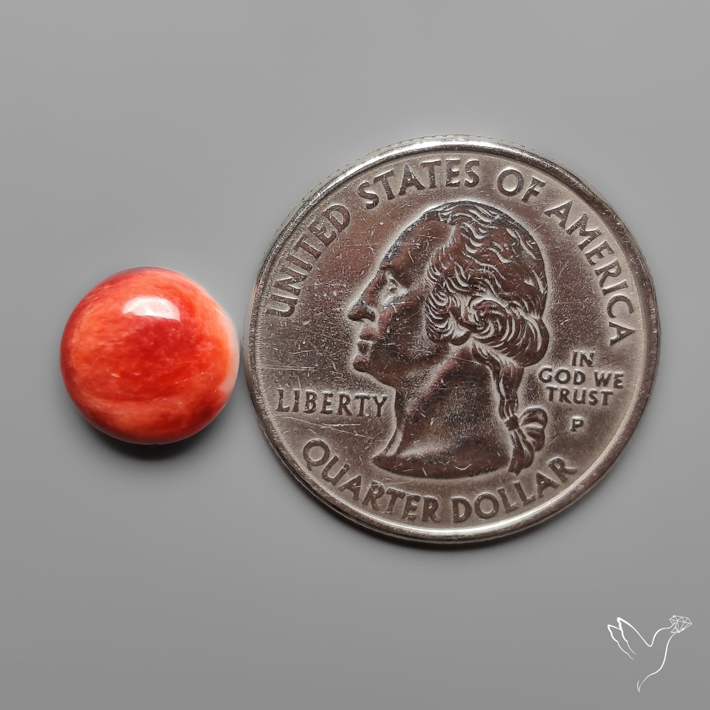 Spiny Oyster Shell Cabochon