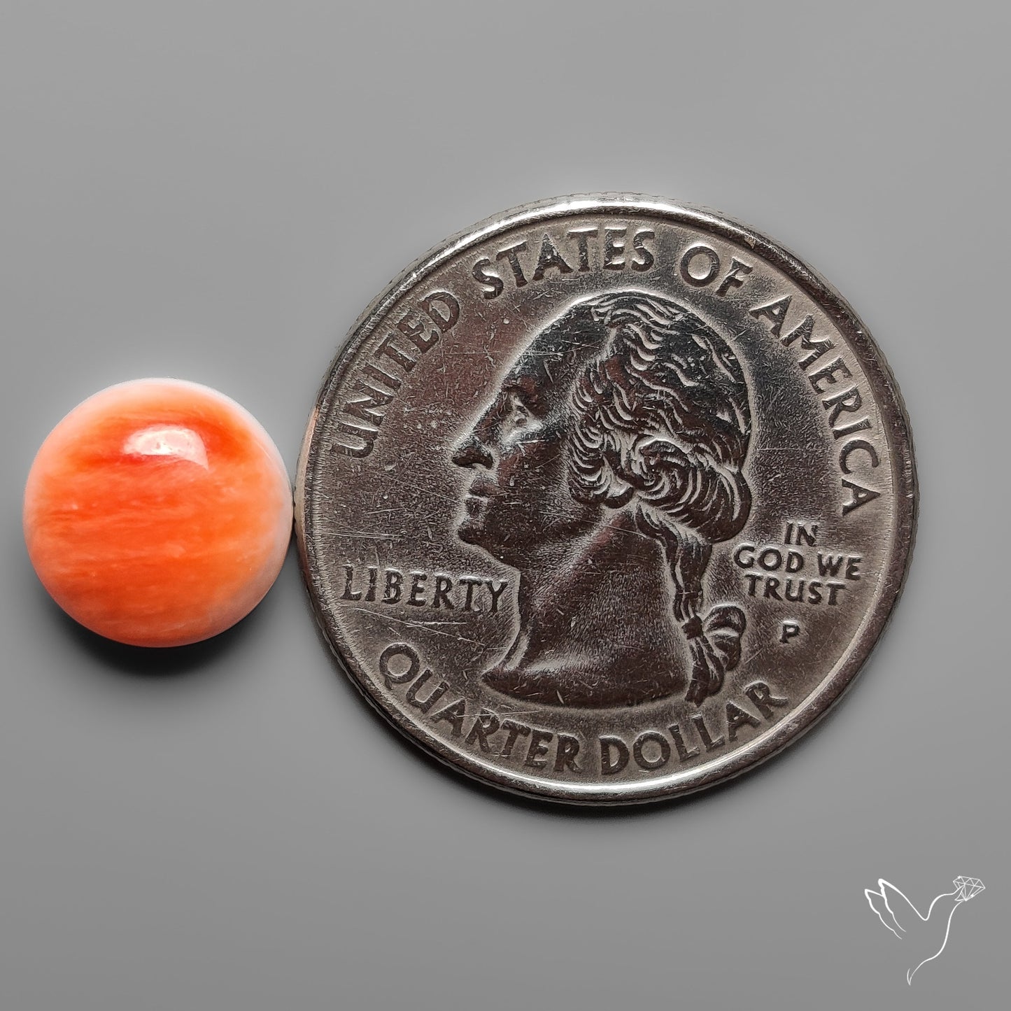 Spiny Oyster Shell Cabochon