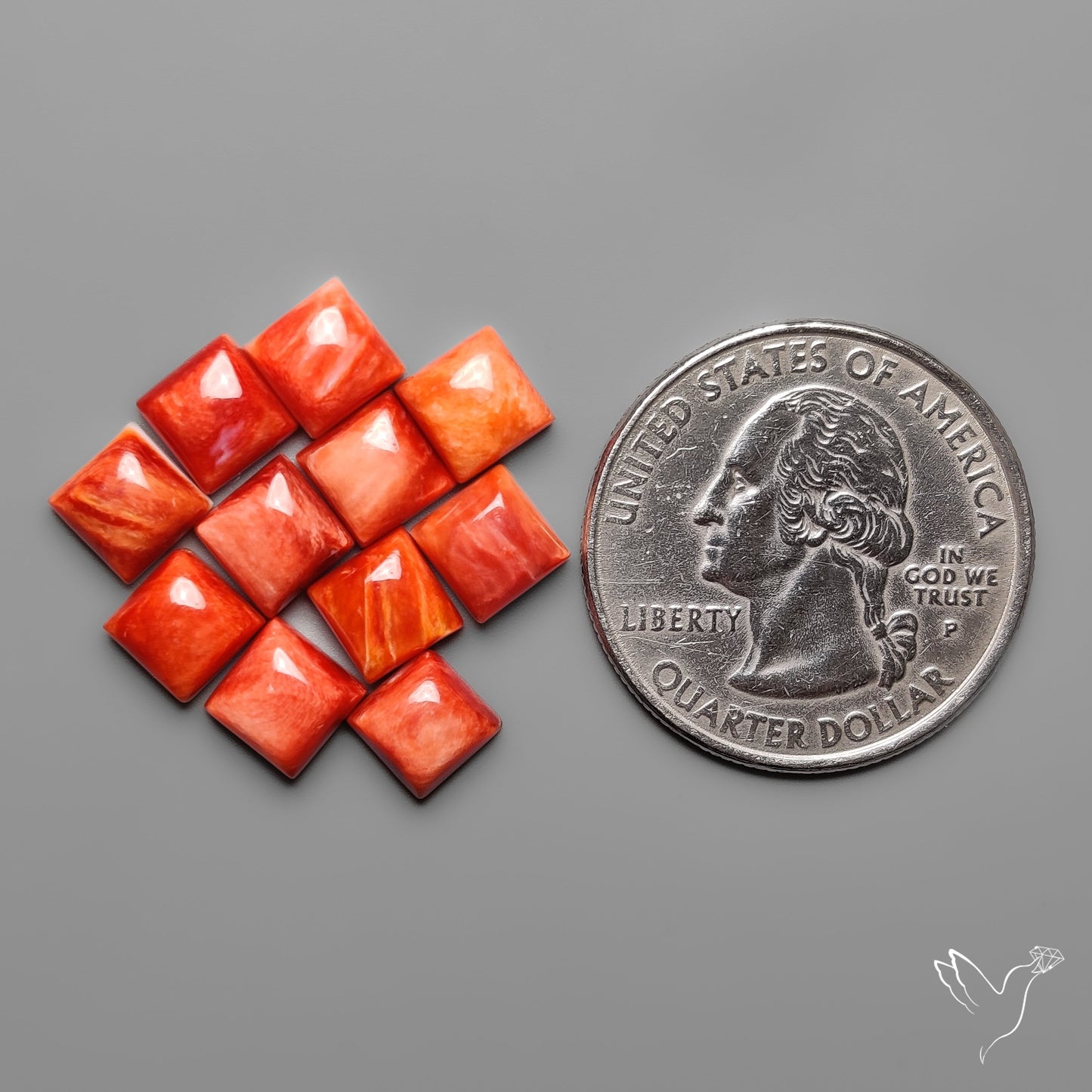 Spiny Oyster Shell Calibrated Cabochons