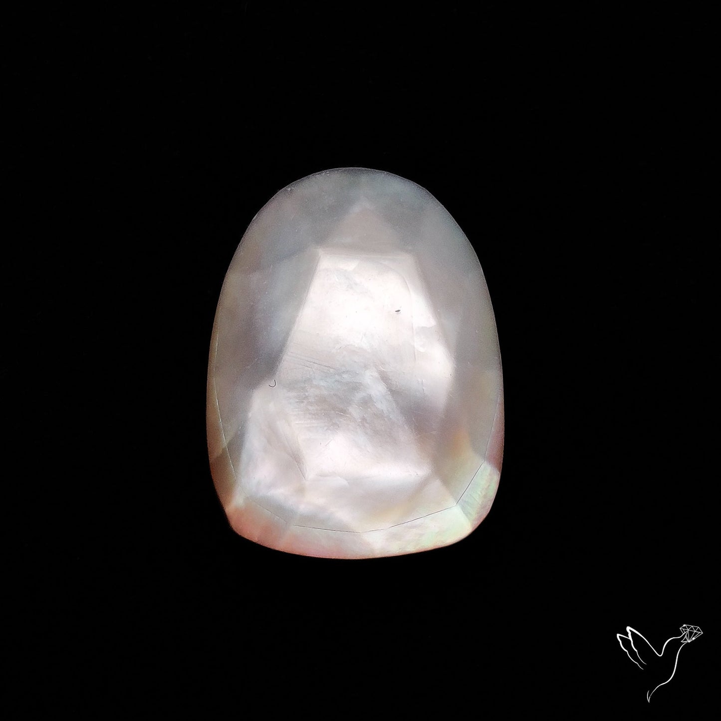 Rose Cut Mother Of Pearl