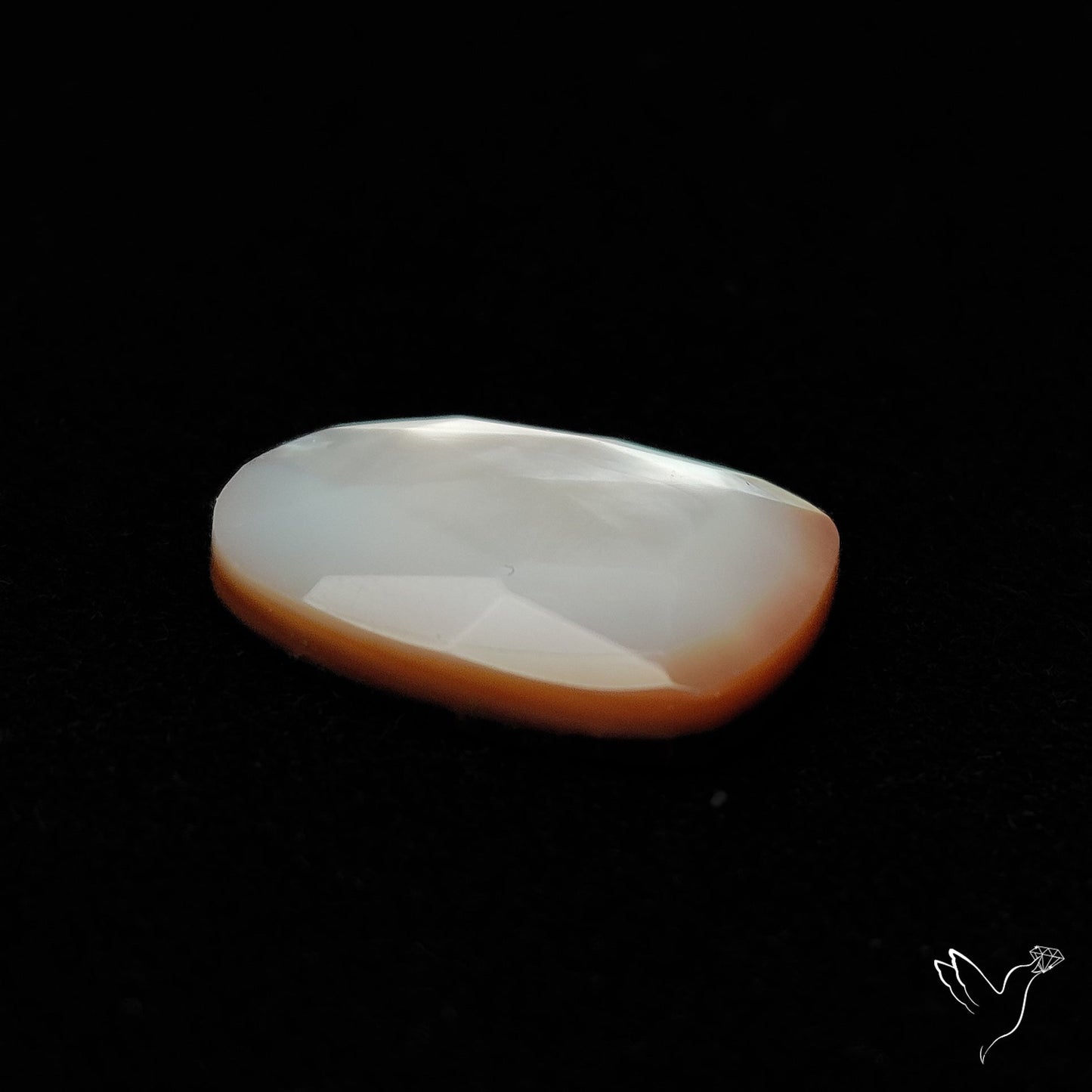 Rose Cut Mother Of Pearl
