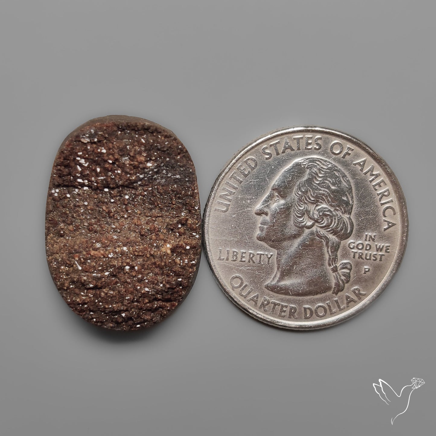 Arizona Petrified Wood Druzy