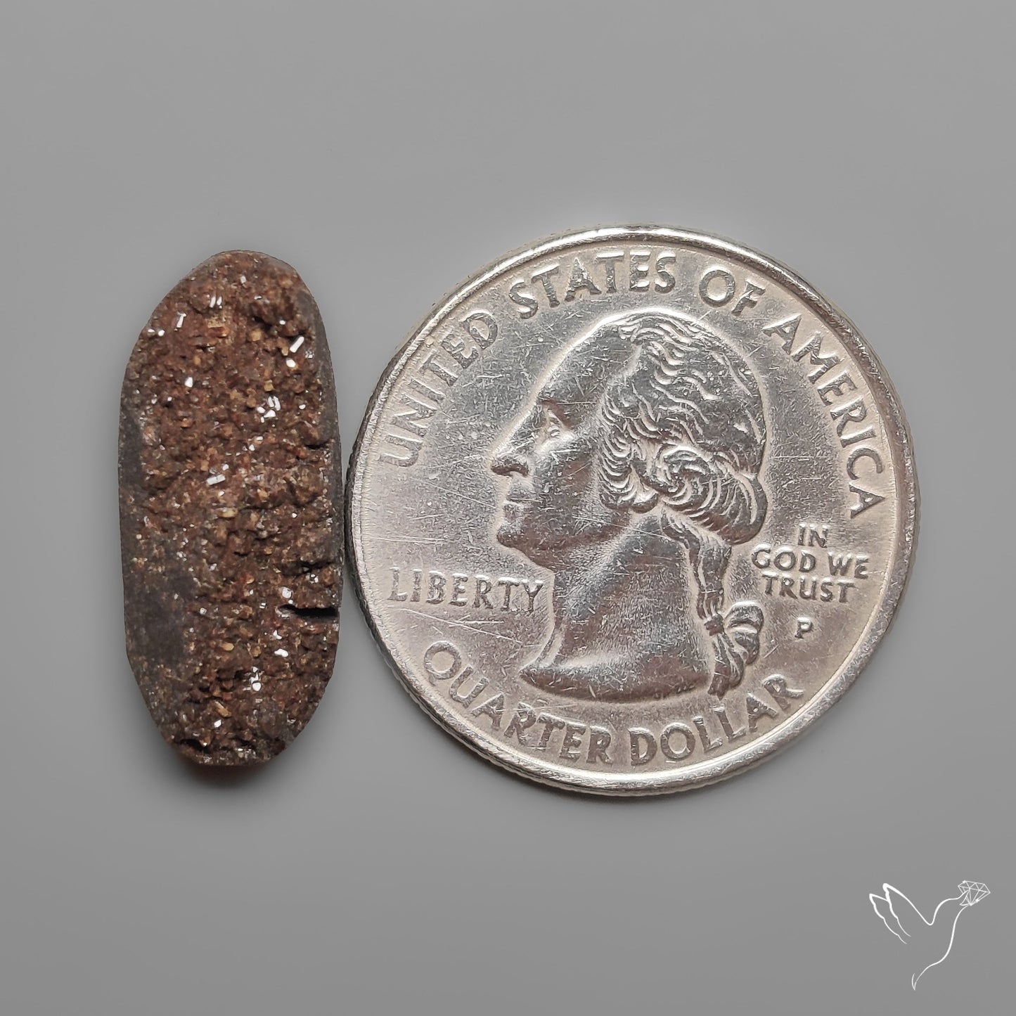 Arizona Petrified Wood Druzy