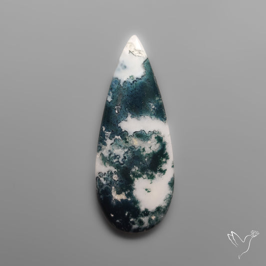 Tree Agate