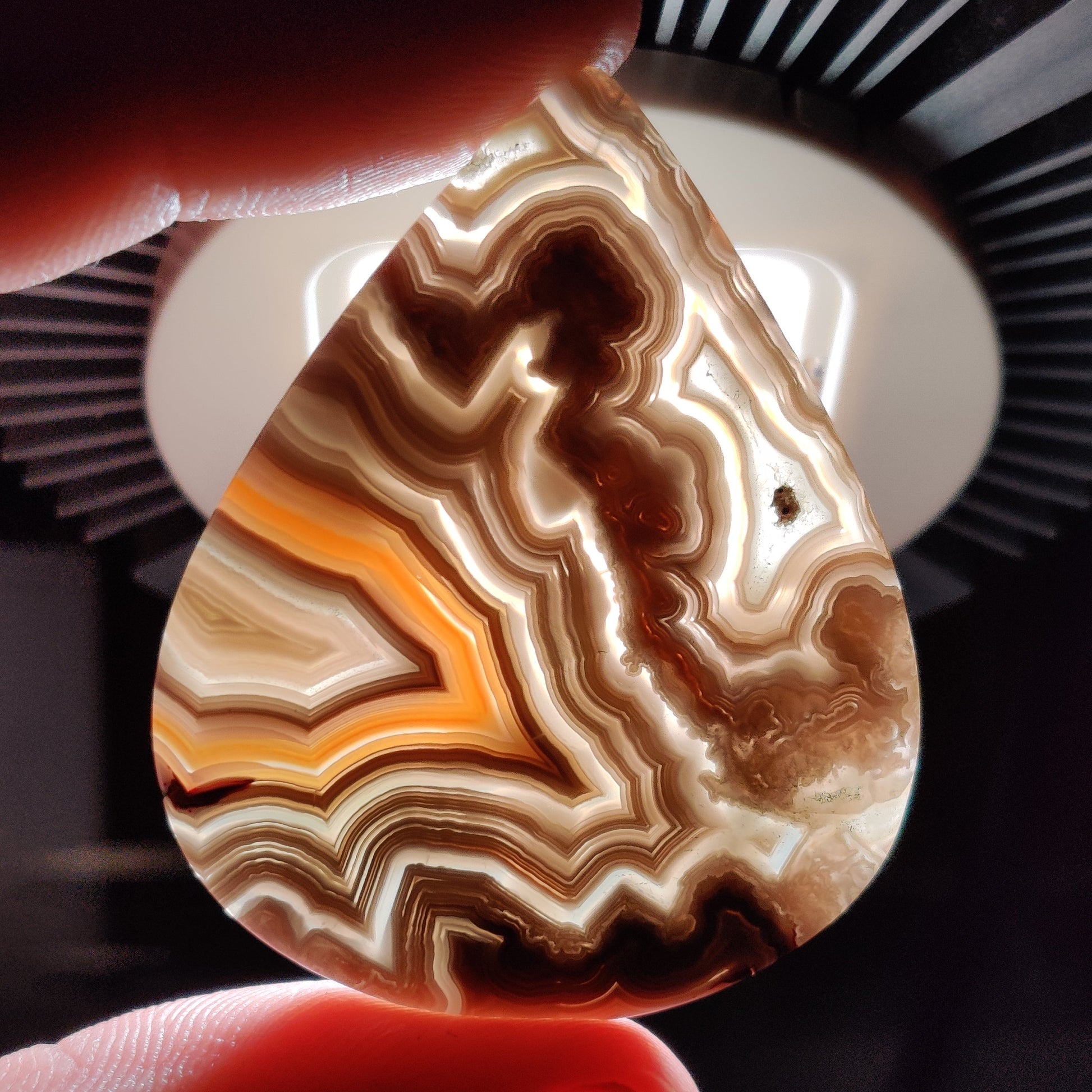 Crazylace Agate Large Sized