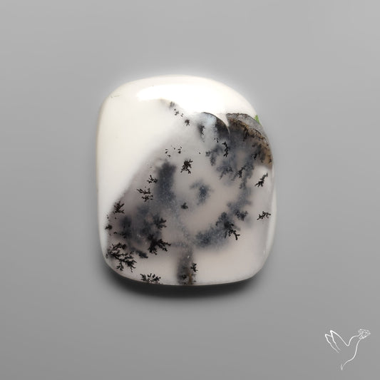 Dendritic Agate