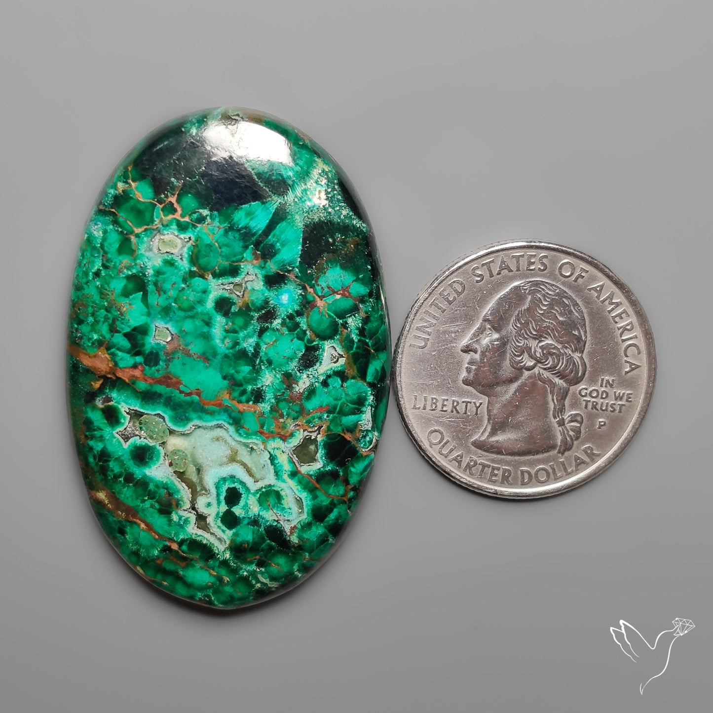 Parrot Wing Chrysocolla