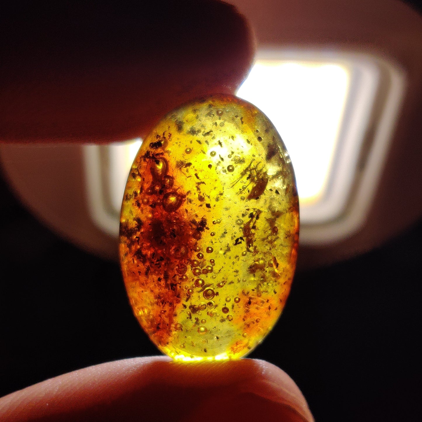 Baltic Amber