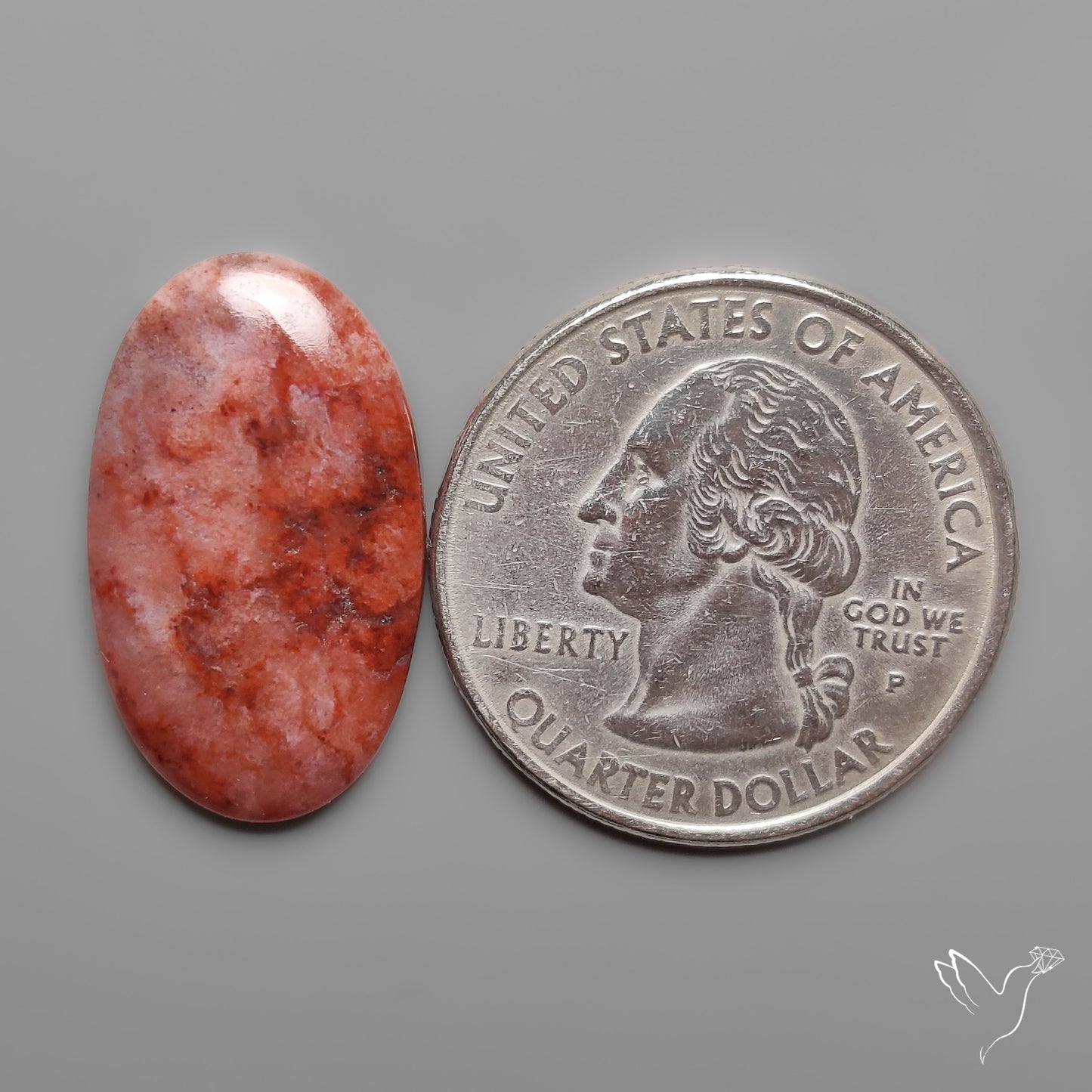 Red Arizona Petrified Wood