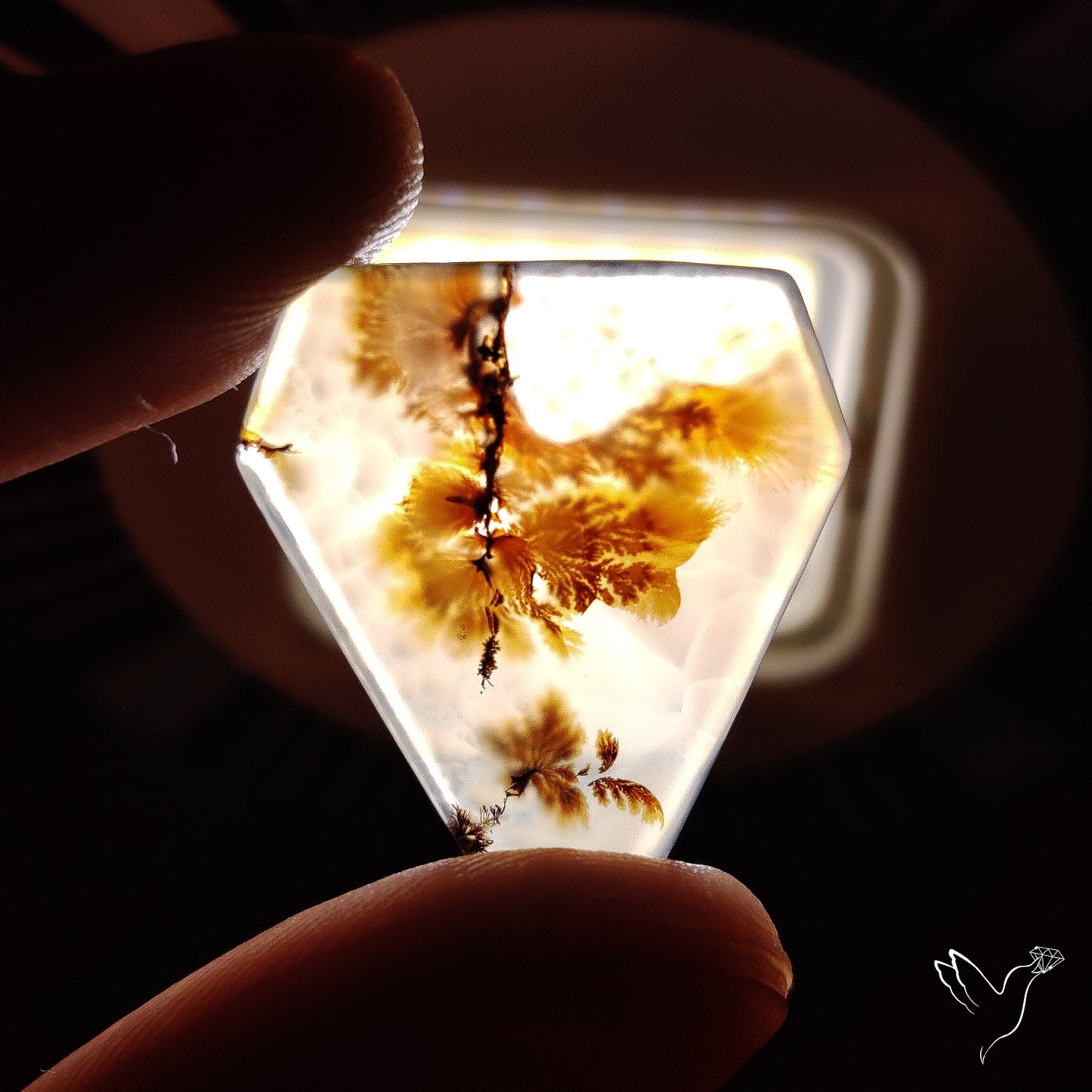 Scenic Agate Cabochon