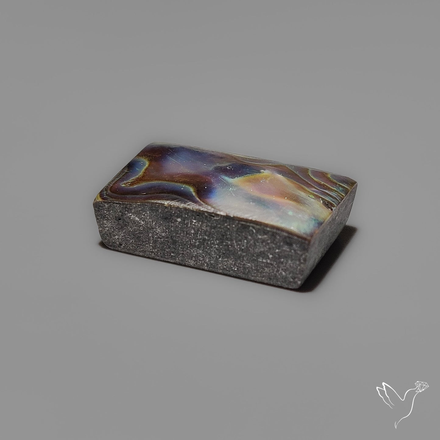 Abalone Shell Cabochon