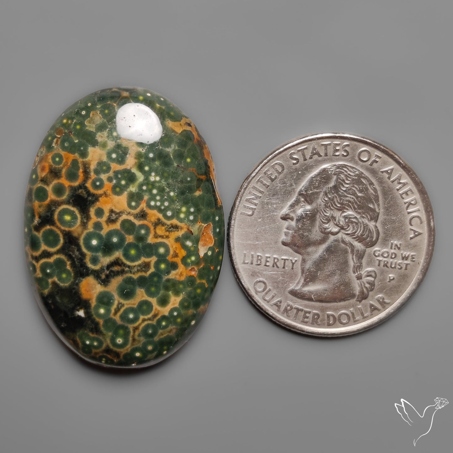 Orbicular Ocean Jasper