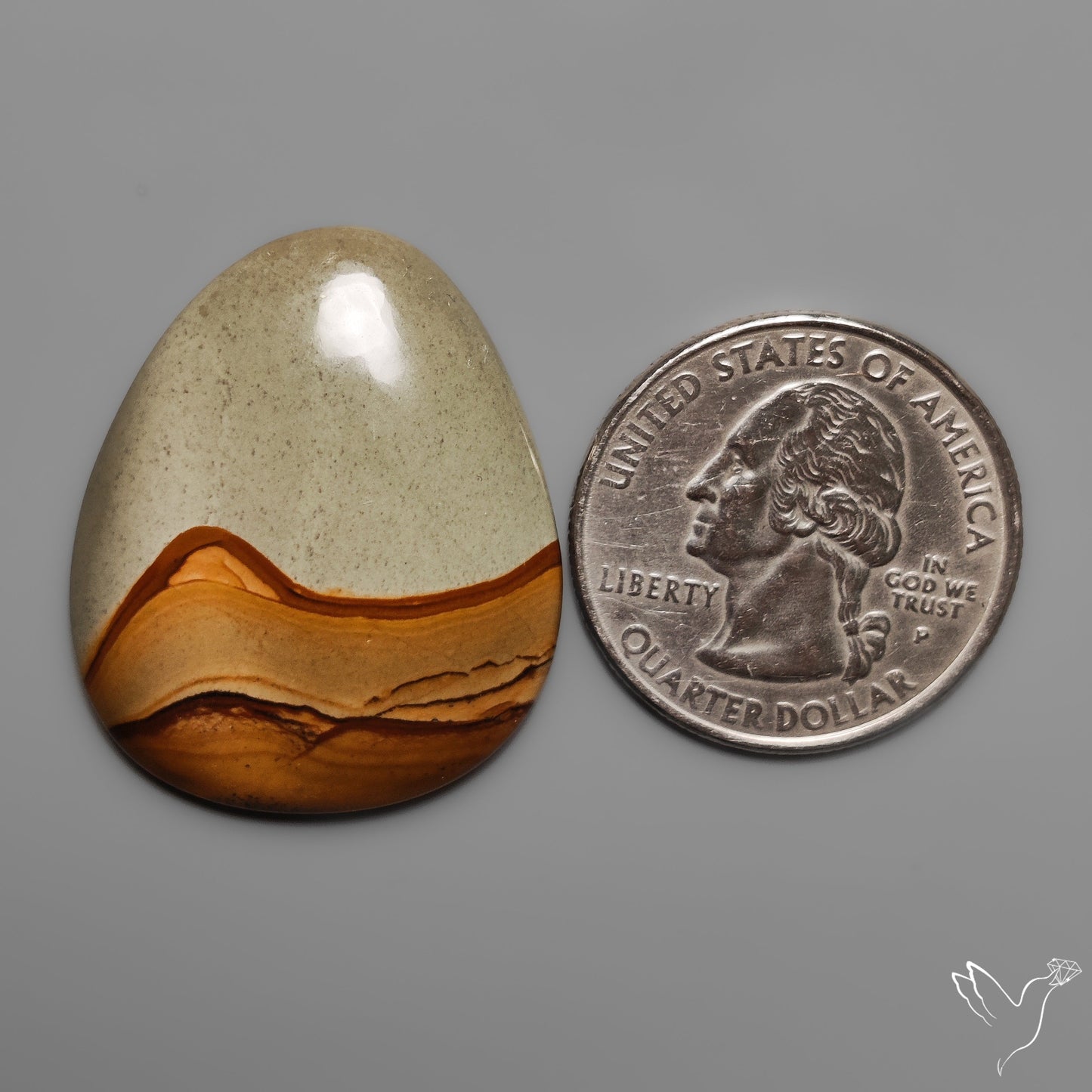 Owyhee Wild Horse Picture Jasper