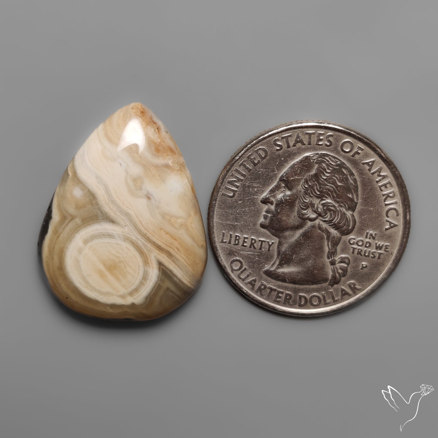 Orbicular Ocean Jasper