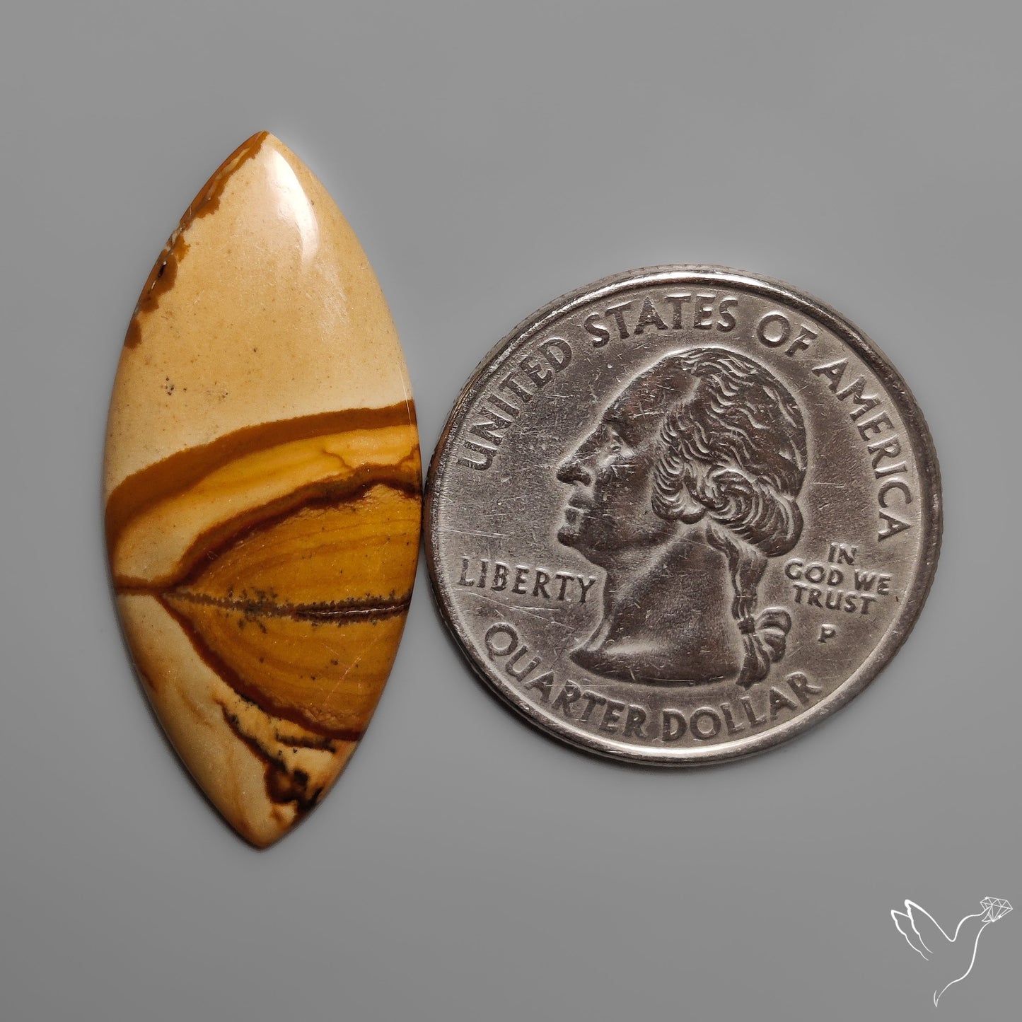 Owyhee Wild Horse Picture Jasper