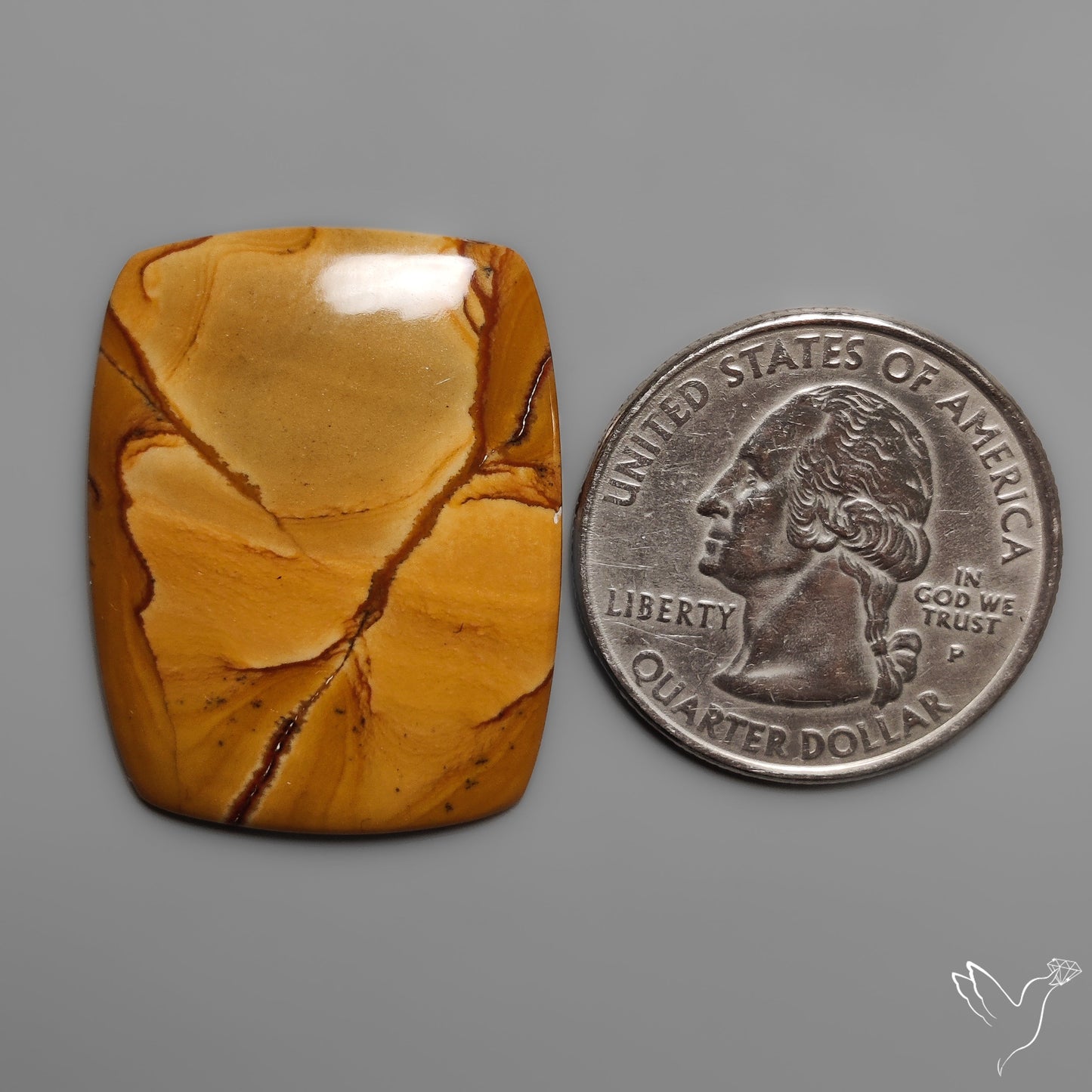 Owyhee Wild Horse Picture Jasper