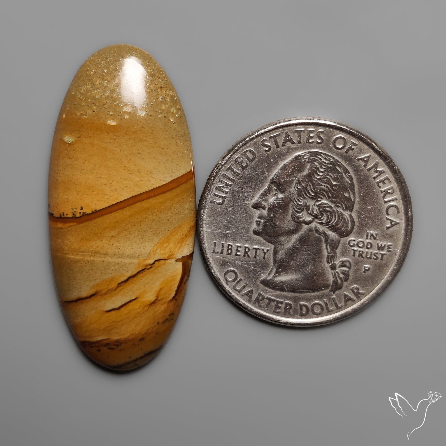 Owyhee Wild Horse Picture Jasper