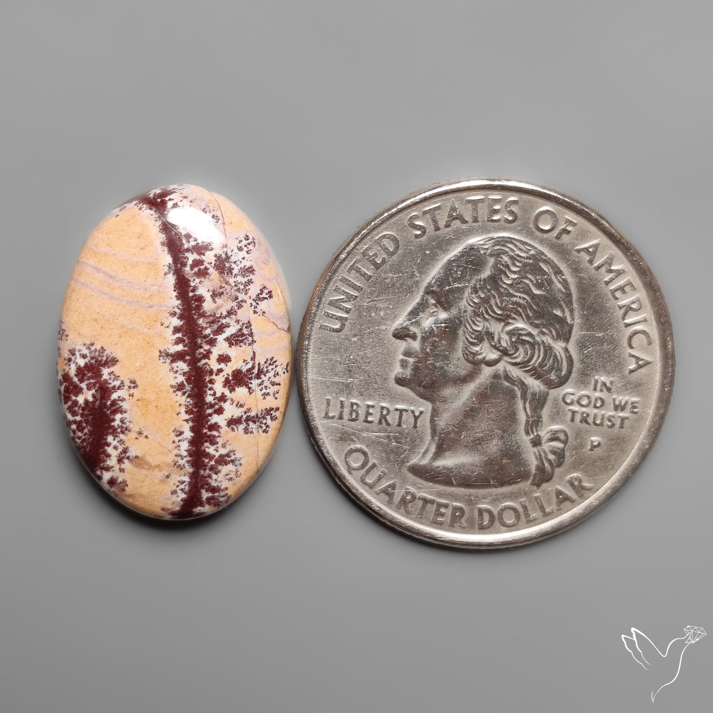 Sonoran Dendritic Rhyolite Cabochon