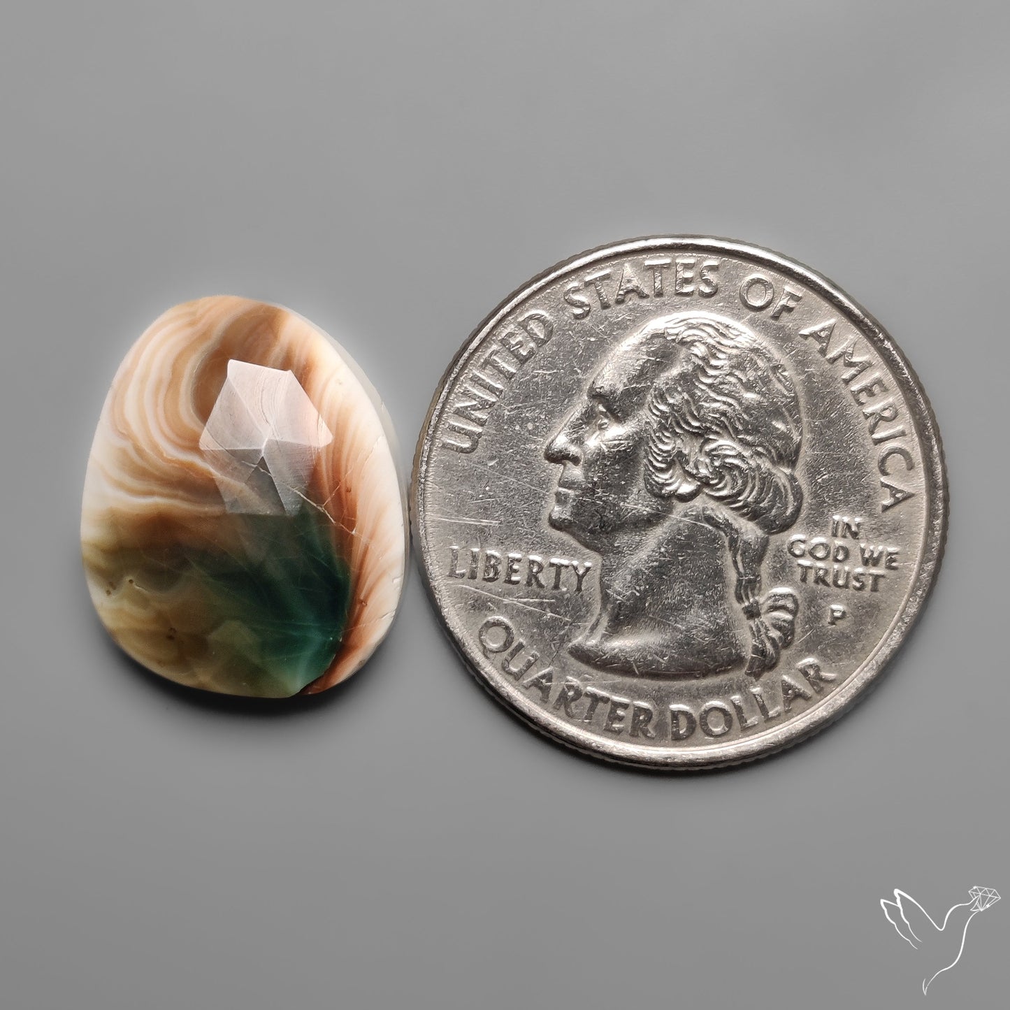 Rose Cut Shiva Eye Shell