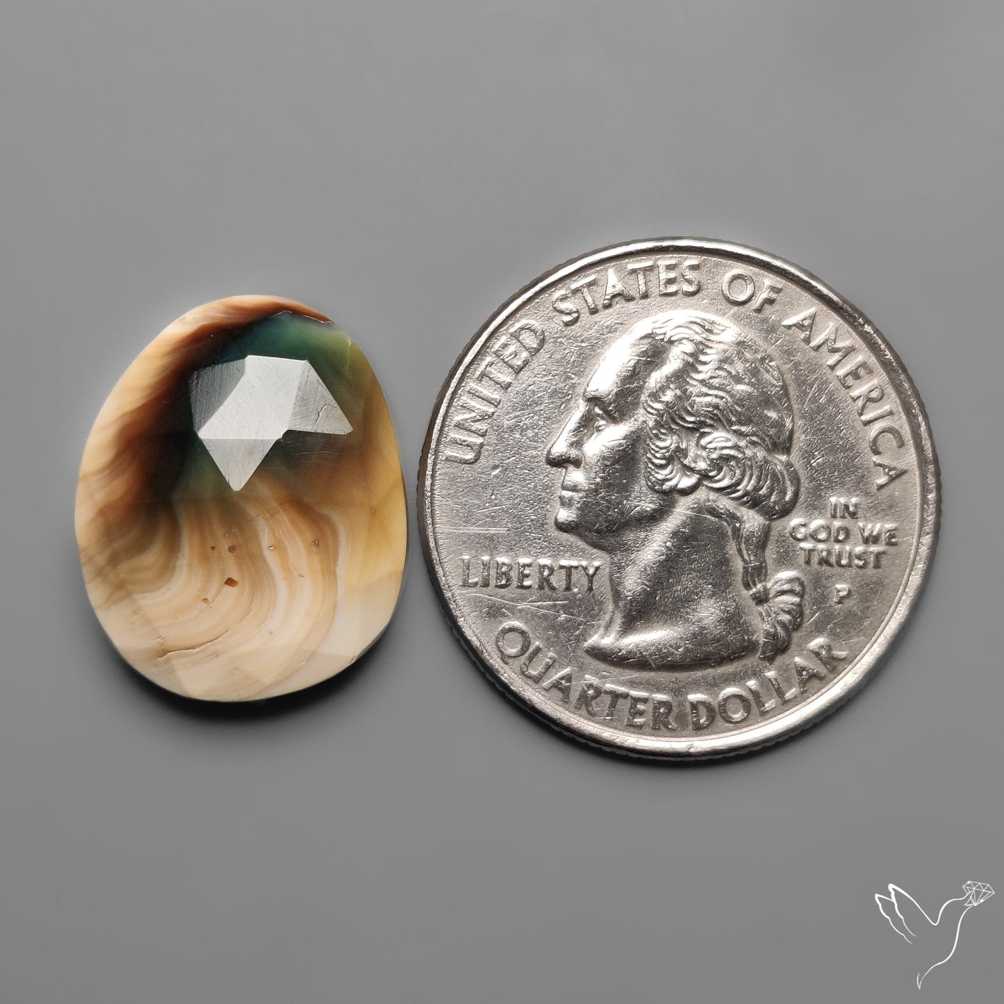 Rose Cut Shiva Eye Shell