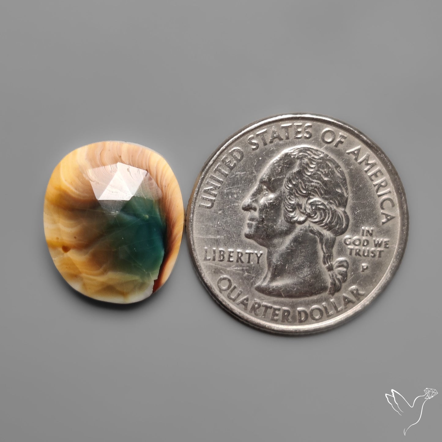 Rose Cut Shiva Eye Shell