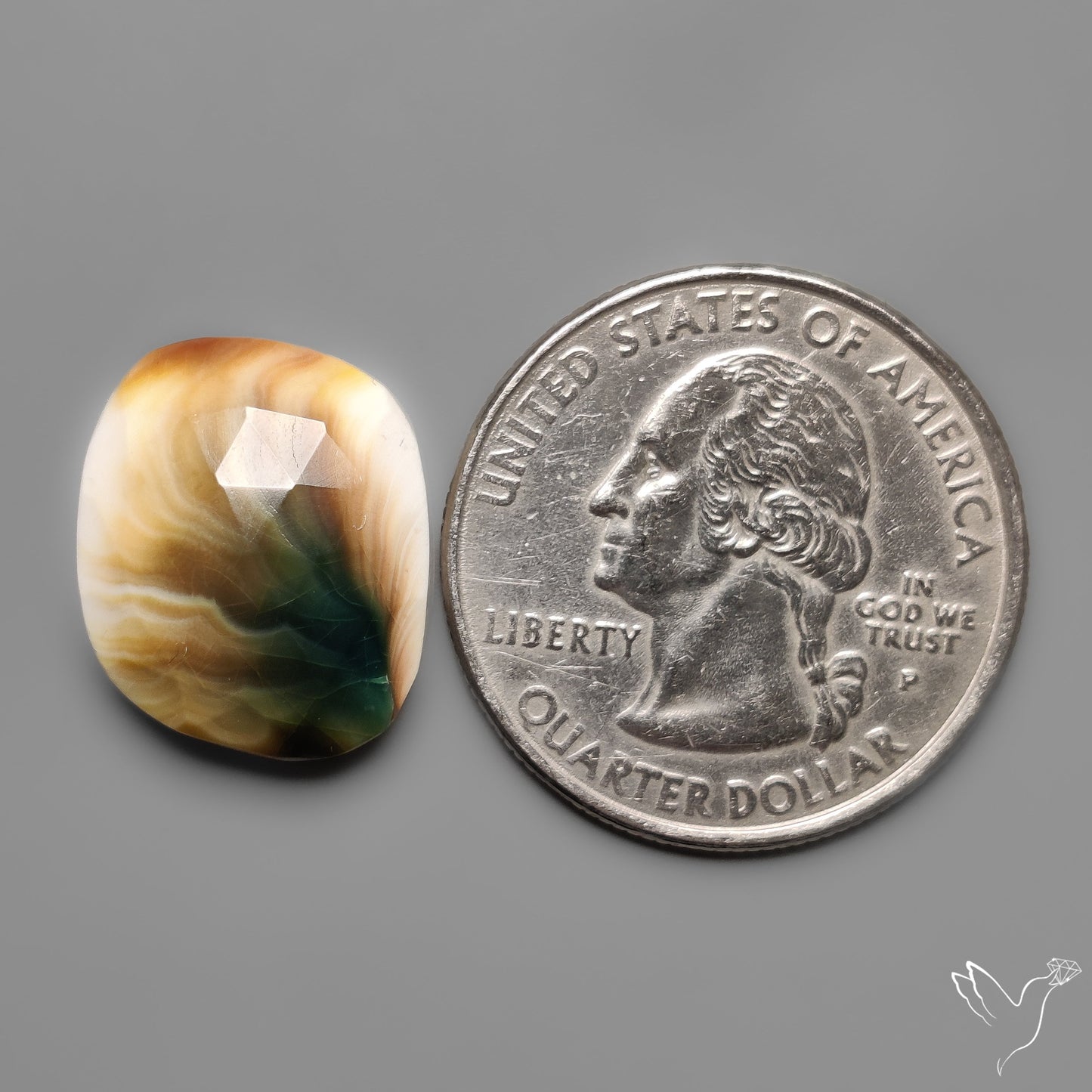 Rose Cut Shiva Eye Shell