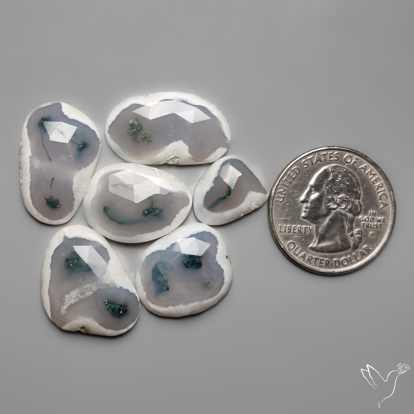 Rose Cut Solar Moss Agates Lot