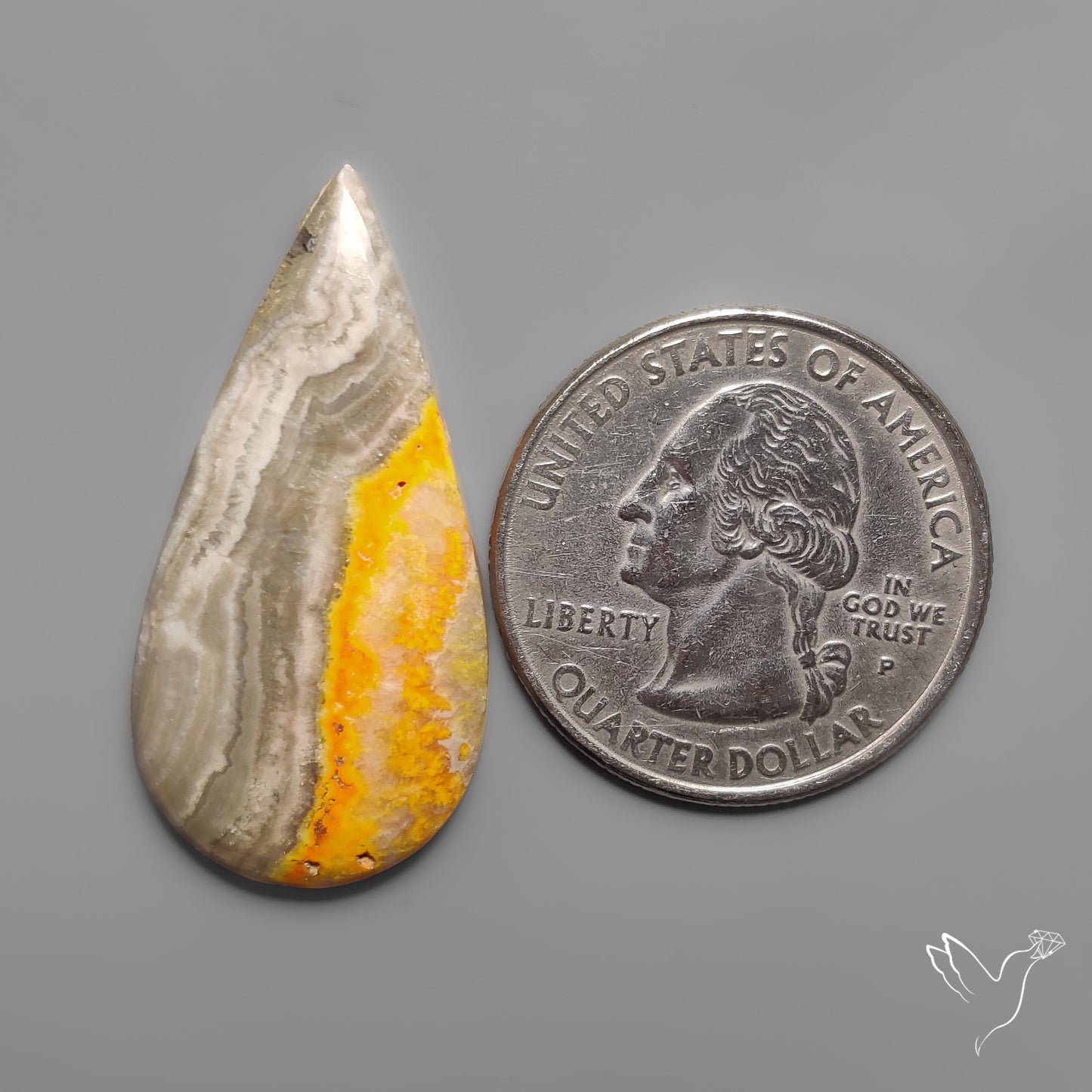 Bumble Bee Jasper Cabochon