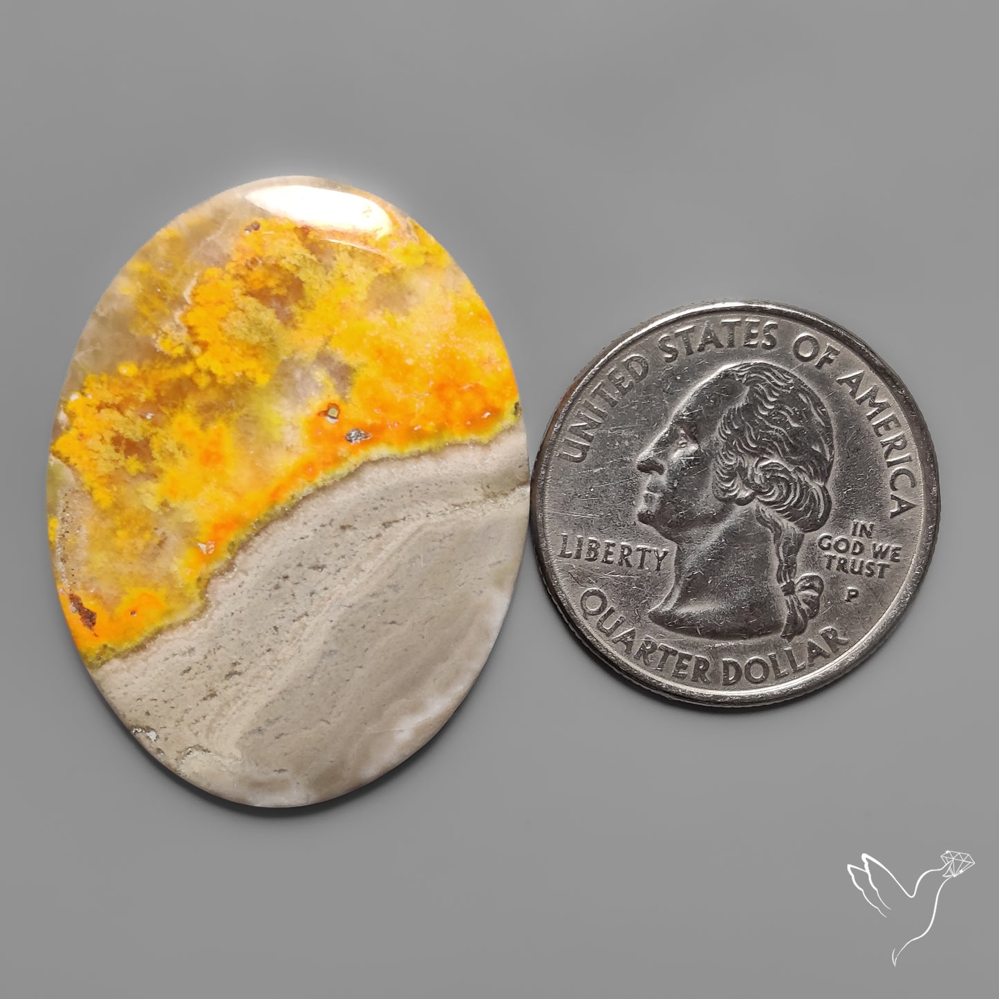 Bumble Bee Jasper Cabochon