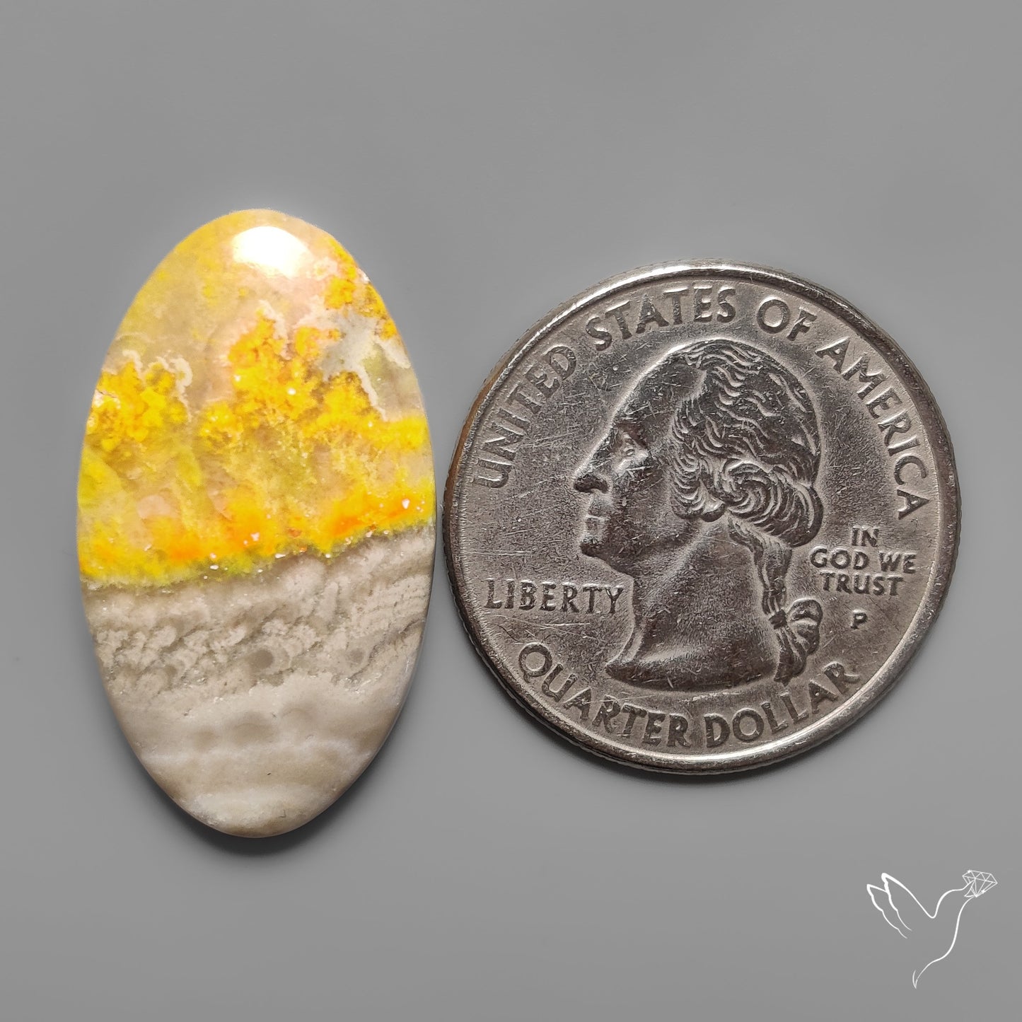 Bumble Bee Jasper Cabochon