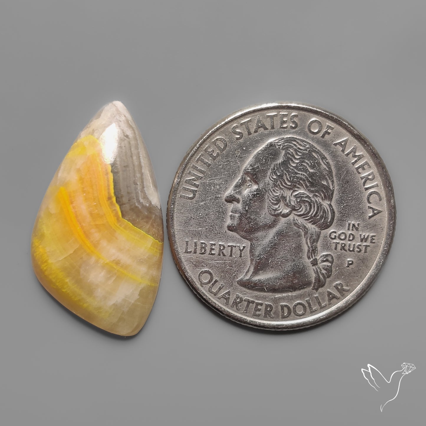 Bumble Bee Jasper Cabochon