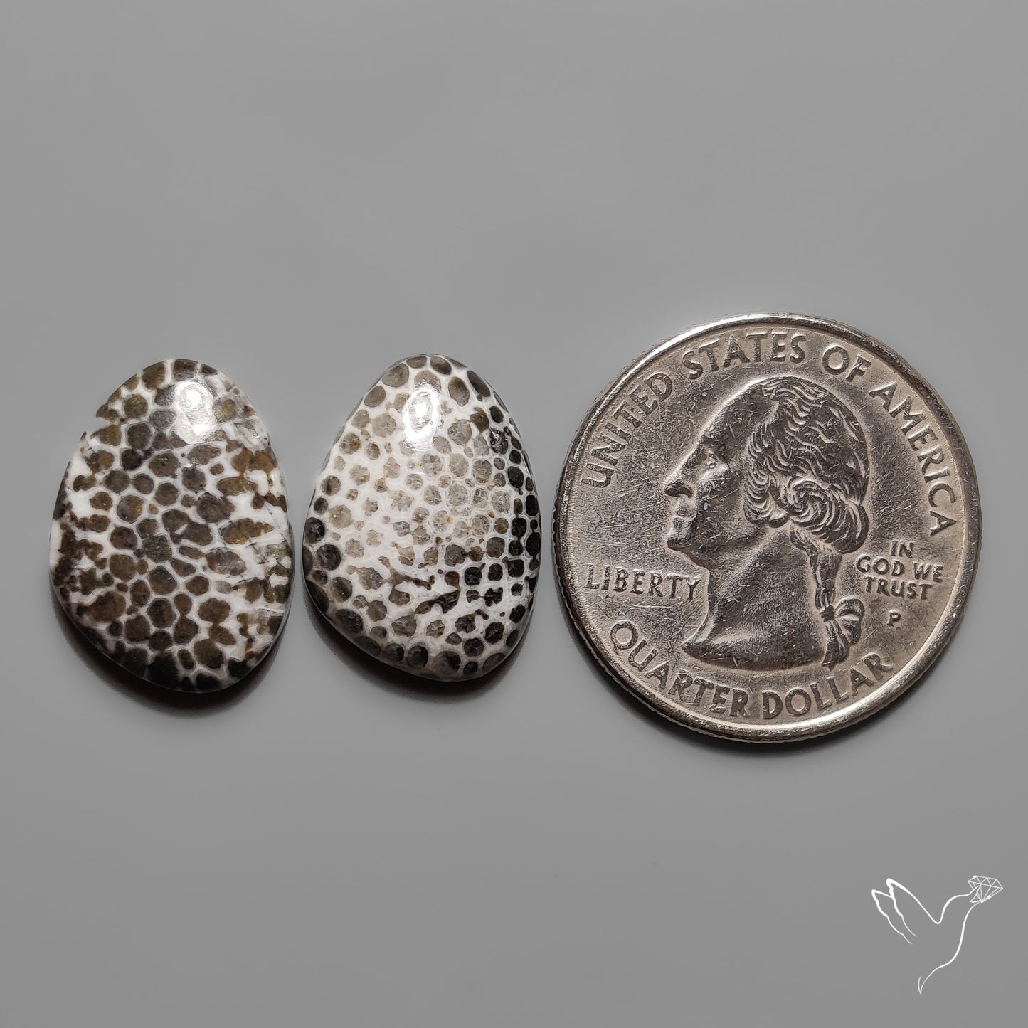 Stingray Black Fossil Corals Pair