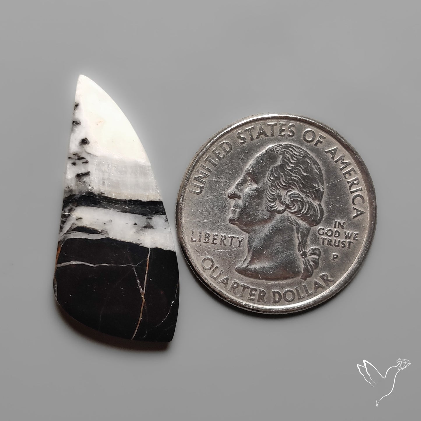 White Buffalo Turquoise