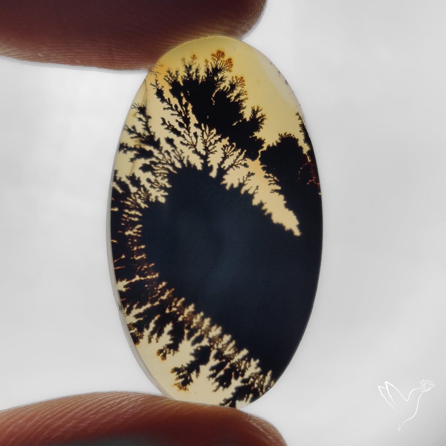 Scenic Agate Cabochon