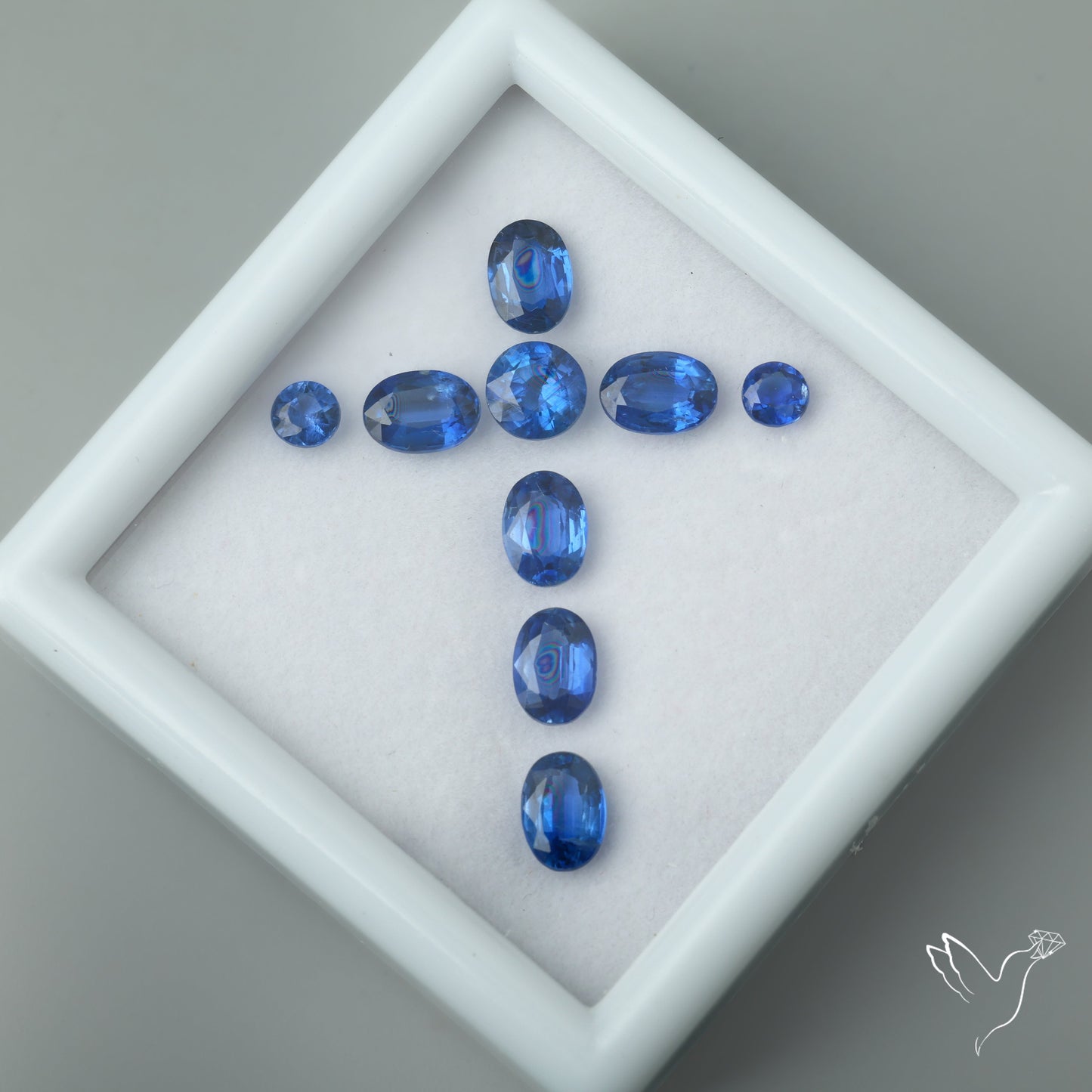 High Grade Blue Kyanites Faceted Set