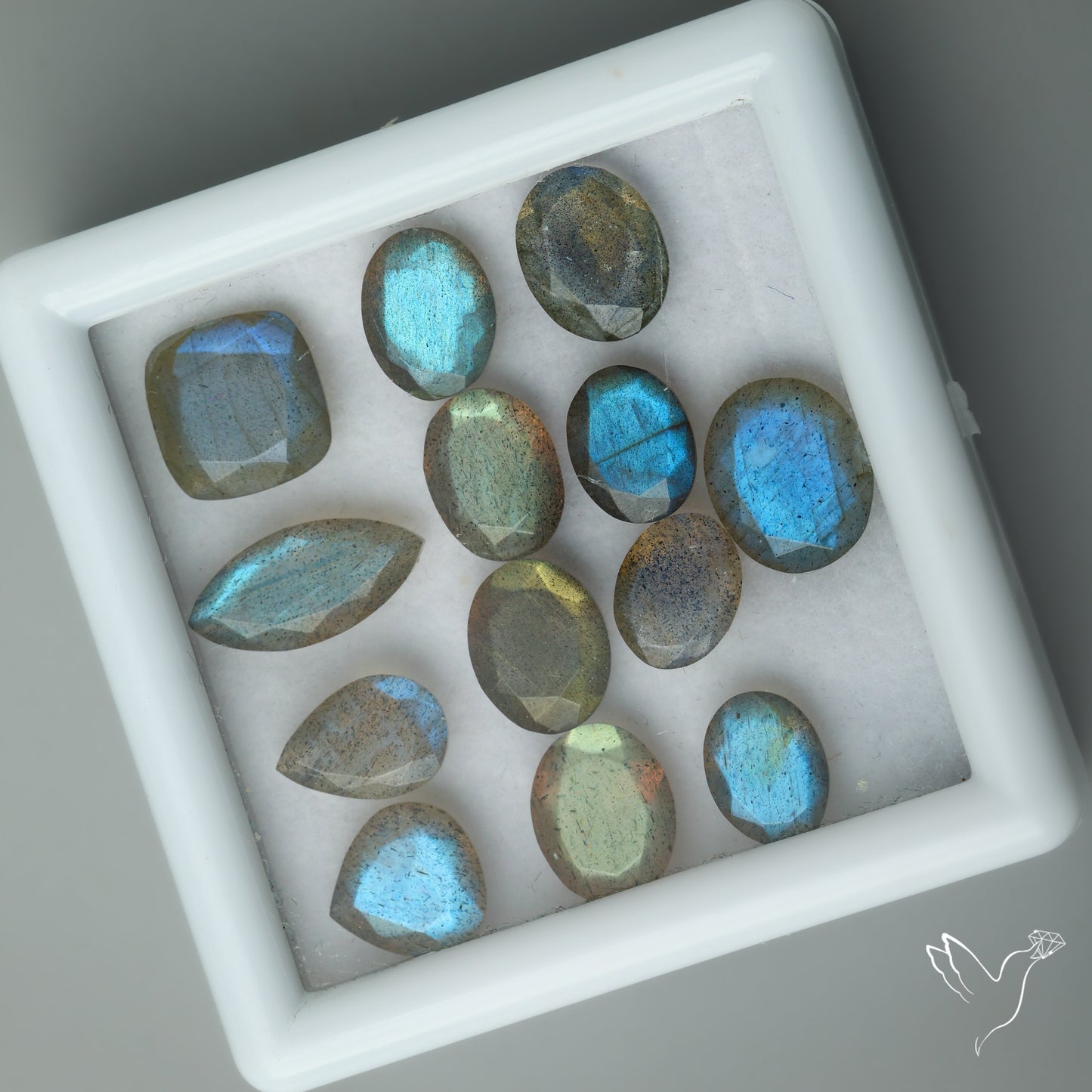 Selected Labradorites Faceted Set