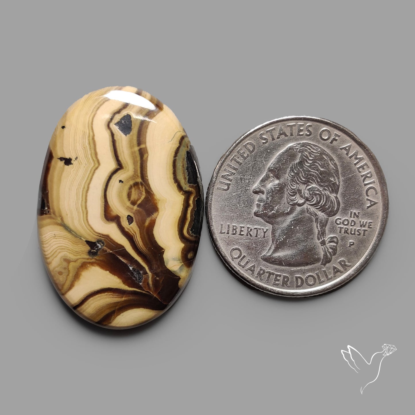 Schalenblende Cabochon