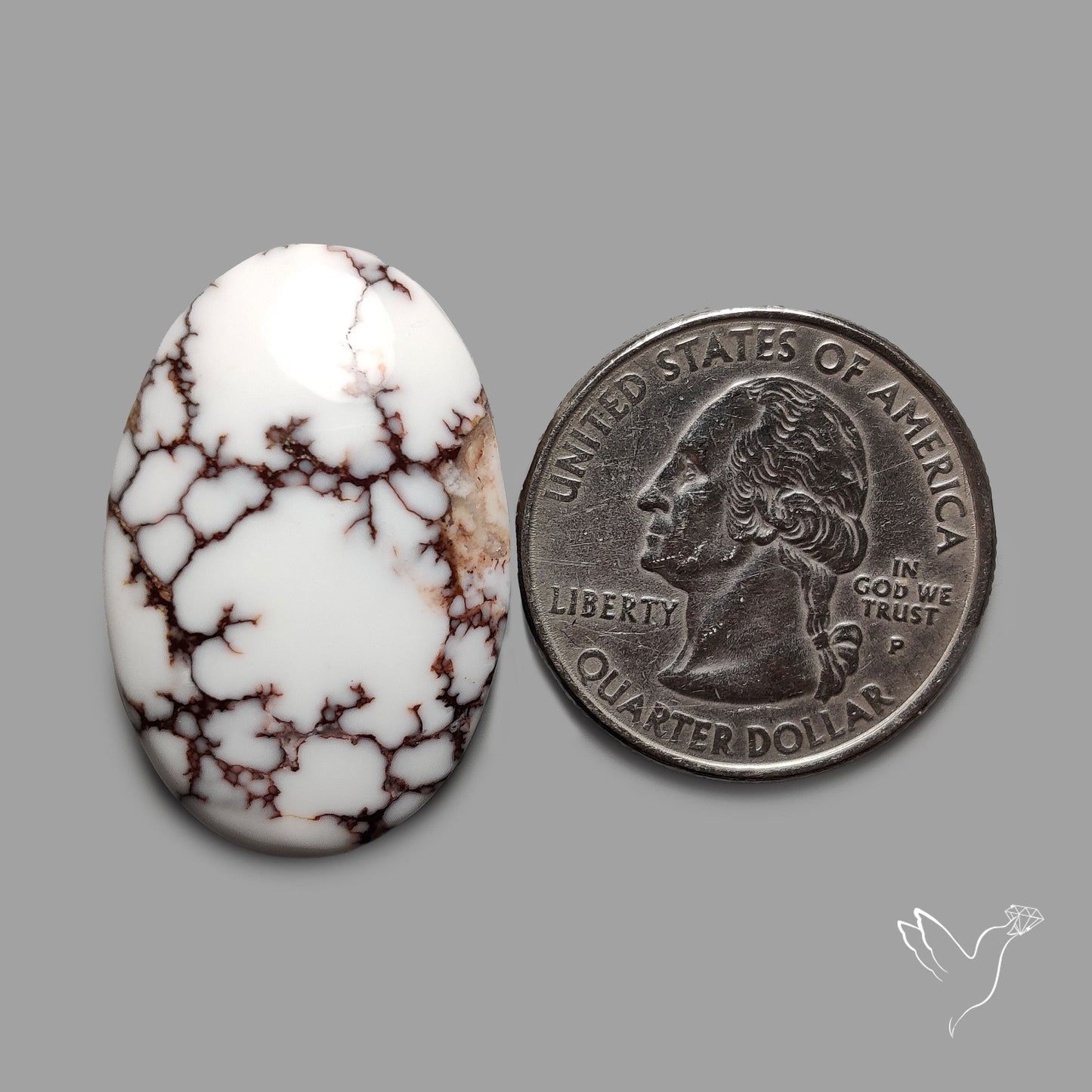 Wild Horse Jasper Cabochon