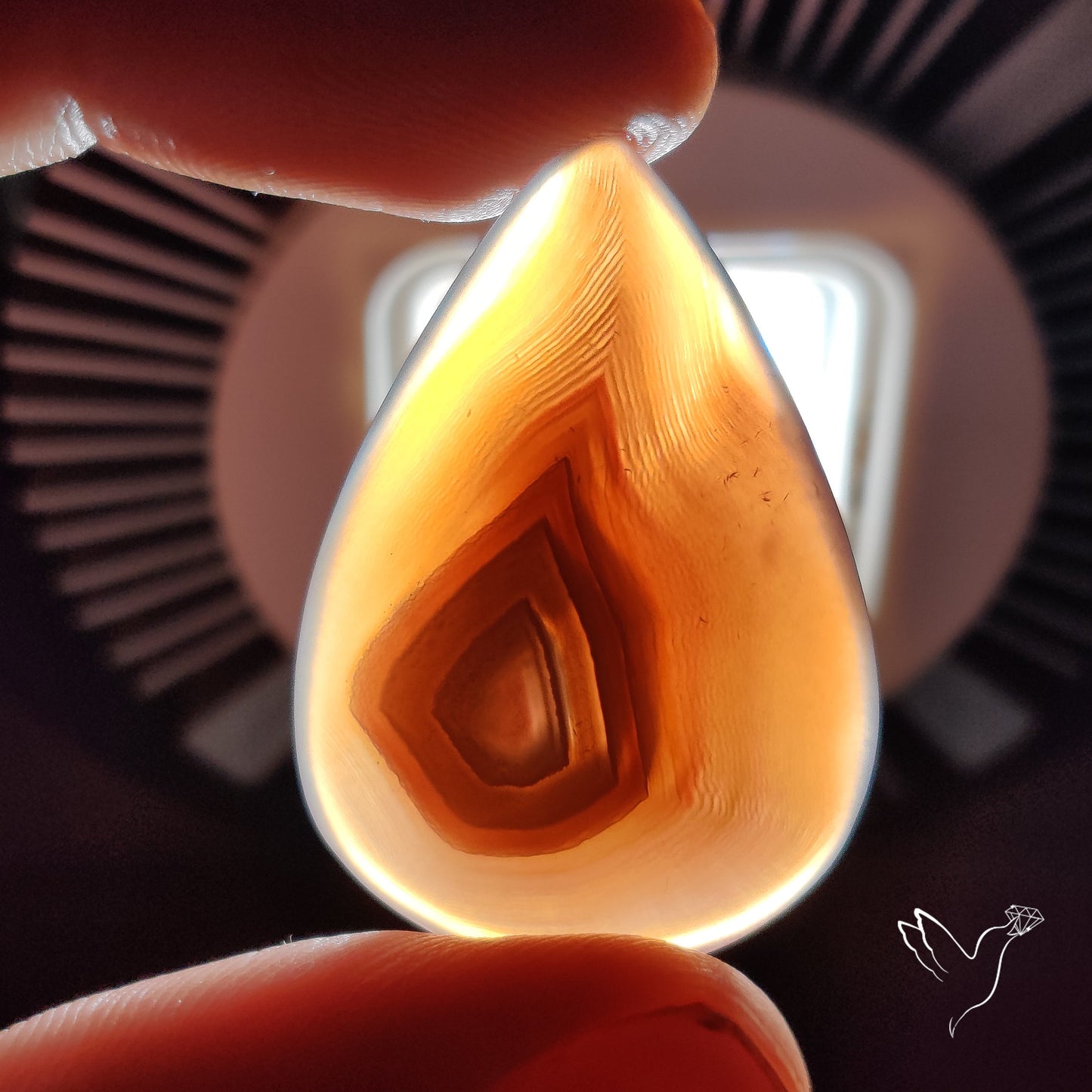 Botswana Agate Cabochon