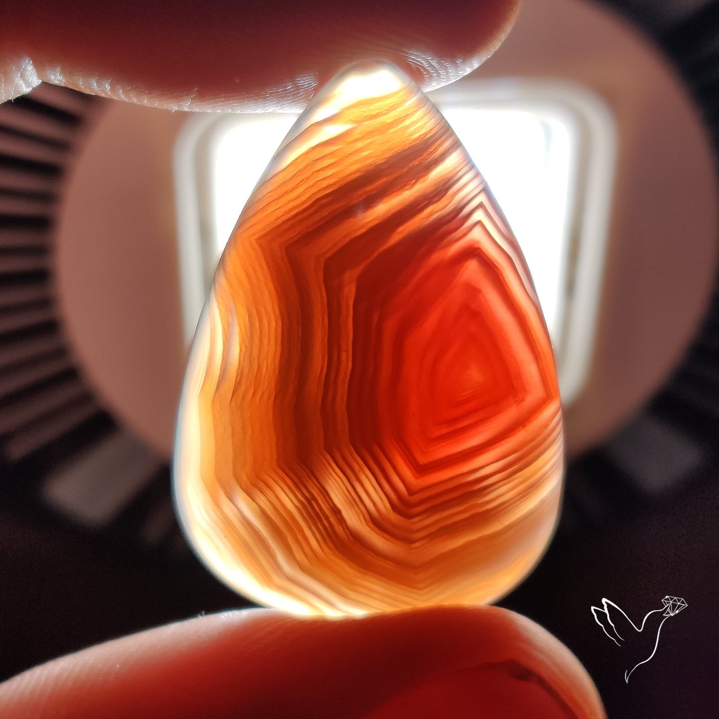 Botswana Agate Cabochon