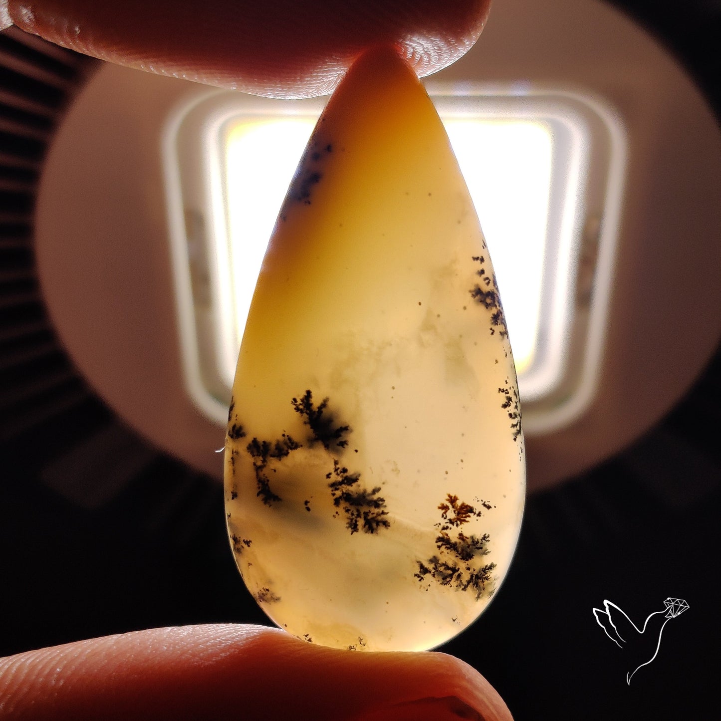 Scenic Dendrititc Opal Cabochon