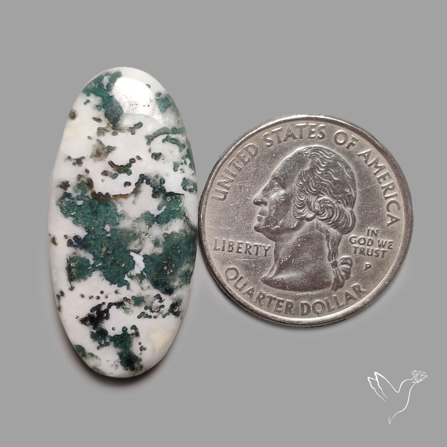 Tree Agate Cabochon