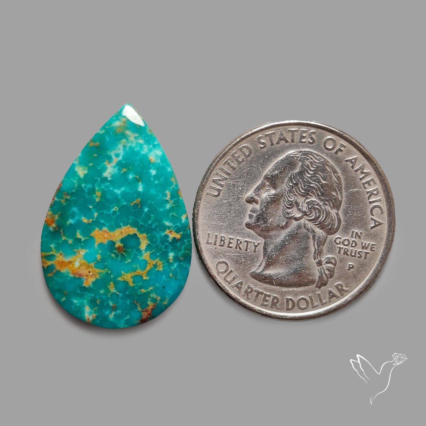 Rare Arizona Patogonia Turquoise Cabochon