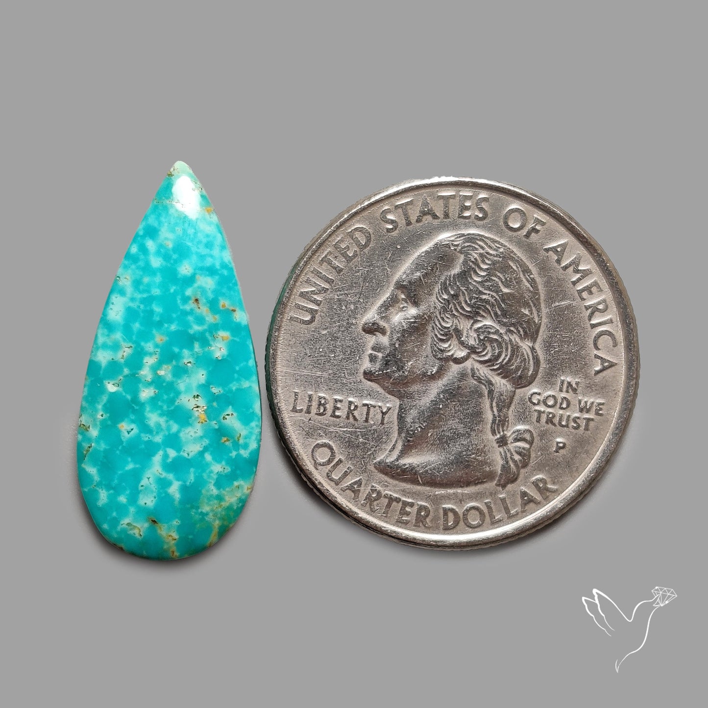 Rare Arizona Patogonia Turquoise Cabochon