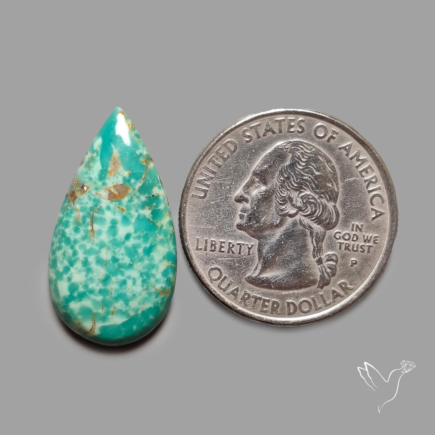 Rare Arizona Patogonia Turquoise Cabochon