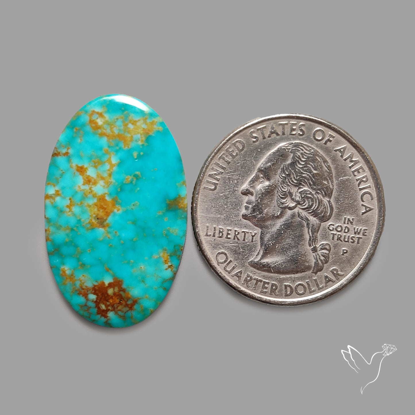 Rare Arizona Patogonia Turquoise Cabochon