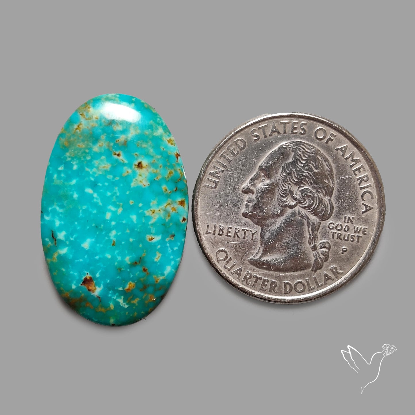 Rare Arizona Patogonia Turquoise Cabochon