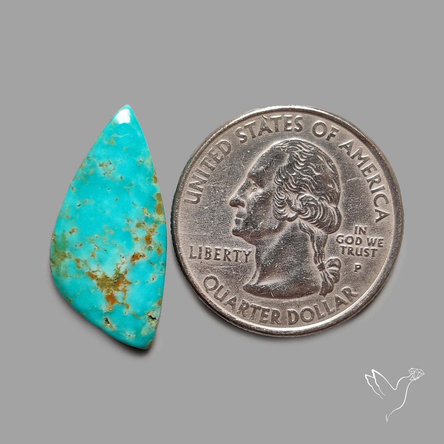 Rare Arizona Patogonia Turquoise Cabochon