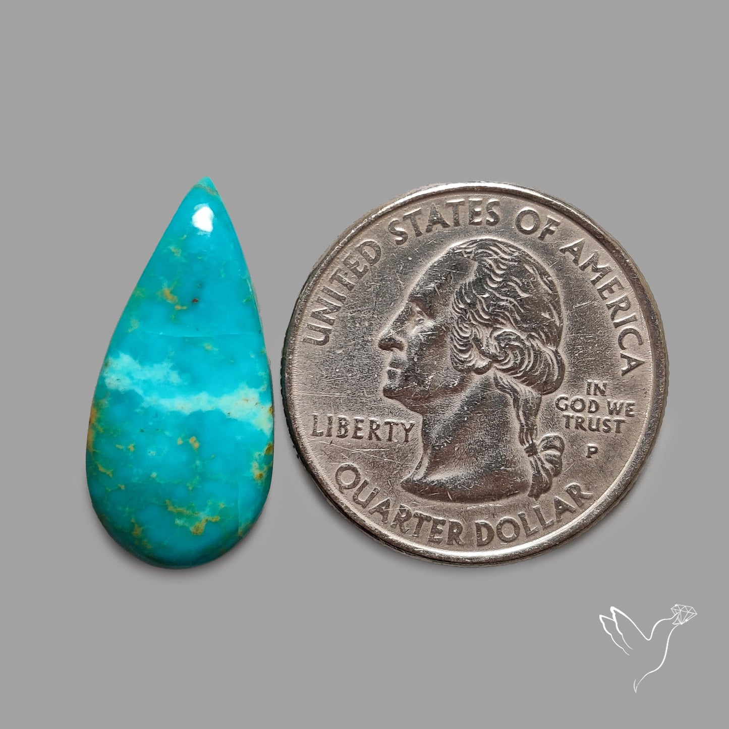 Rare Arizona Patogonia Turquoise Cabochon