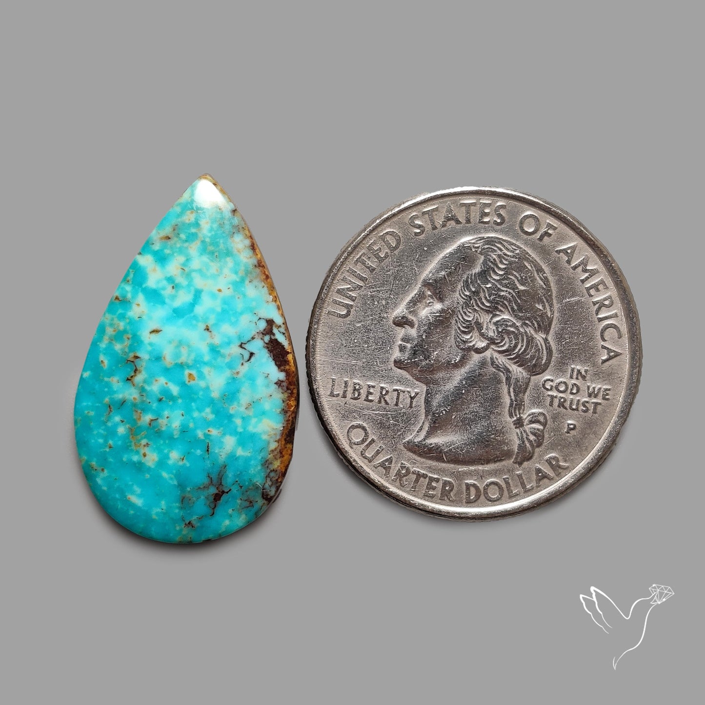 Rare Arizona Patogonia Turquoise Cabochon